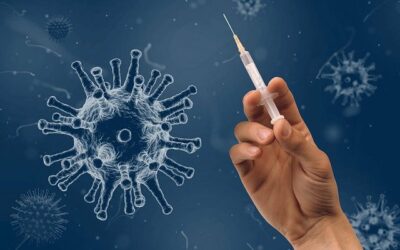 Court Halts OSHA’s Vaccination-or-Testing ETS